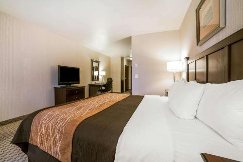 Hotel Comfort Inn & Suites Henderson