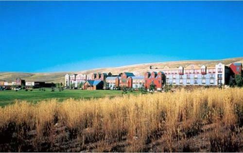 Cactus Petes Resort & Horseshu Hotel