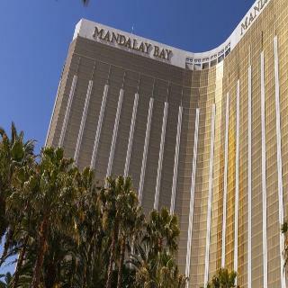 Hotel Delano Las Vegas At Mandalay Bay