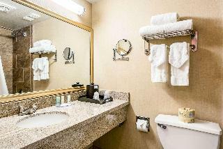 Hotel Quality Inn And Suites