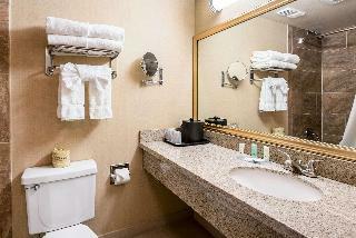 Hotel Quality Inn And Suites