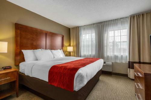 Hotel Comfort Inn & Suites North Conway