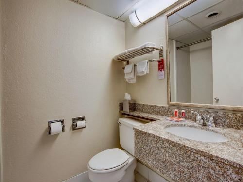 Motel Red Carpet Inn Whippany