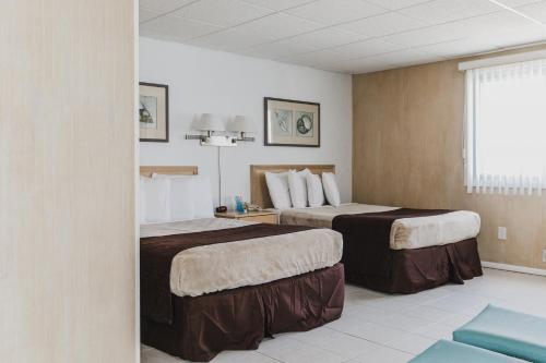 Motel AA Heart Of Wildwood