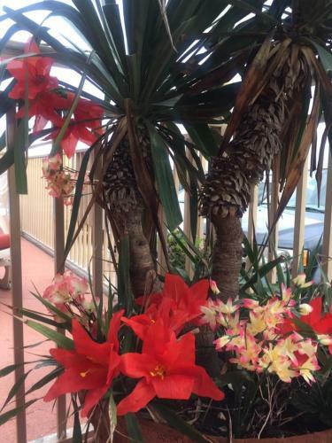 Motel Waikiki Oceanfront Inn