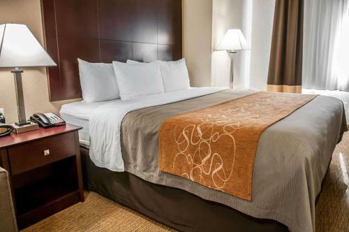 Hotel Comfort Suites Albuquerque