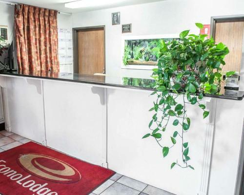 Hotel Econo Lodge Las Cruces