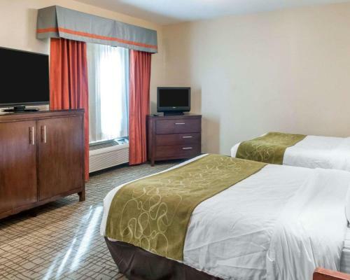 Hotel Comfort Suites Roswell