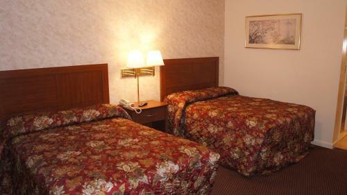 Motel Red Carpet Inn Albany