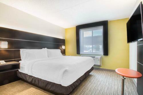 Hotel Comfort Inn & Suites Albany