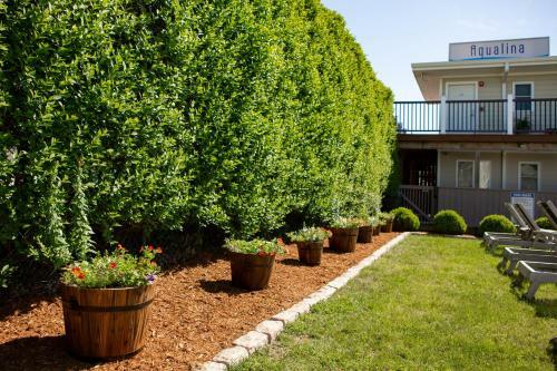 Motel Aqualina Inn Montauk