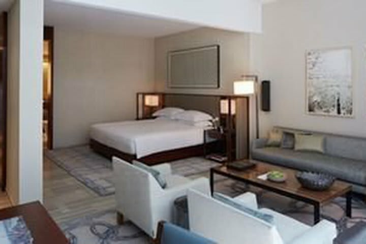 Hotel Park Hyatt New York