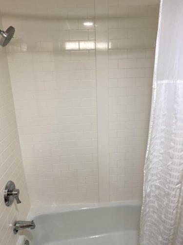 Hotel Comfort Suites - Asheville