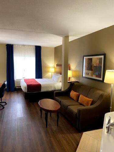 Hotel Comfort Suites - Asheville
