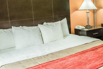 Hotel Comfort Inn University Durham