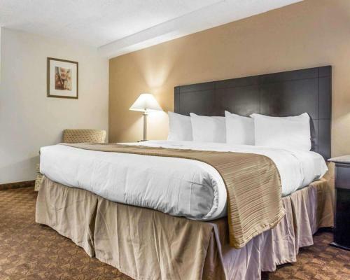 Hotel Quality Inn & Suites Coliseum