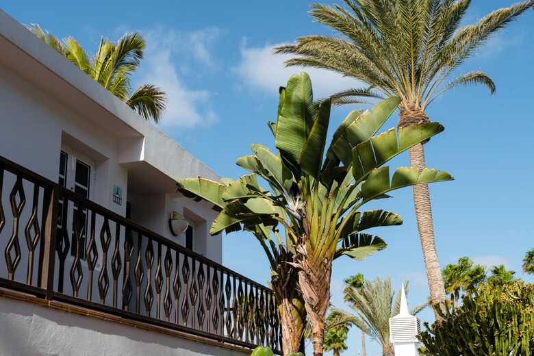 Plus Fariones Apartamentos