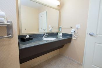 Hotel Holiday Inn Bismarck