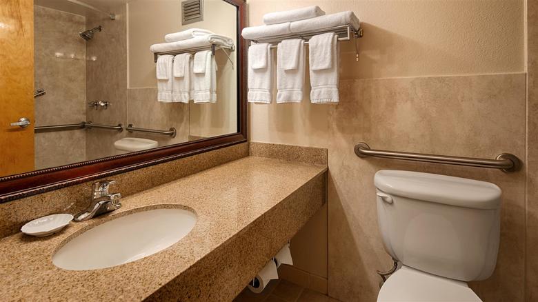 Best Western Plus Marietta Hotel