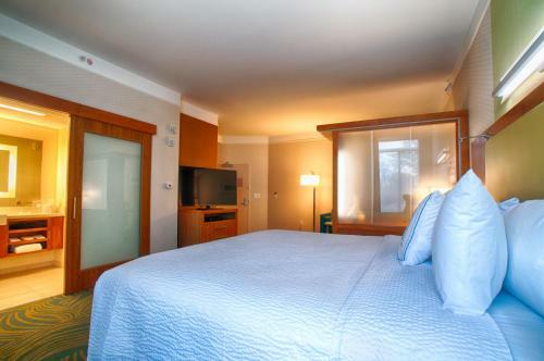 Hotel Springhill Suites By Marriott Canton