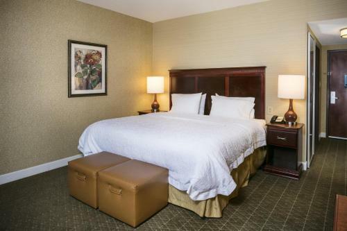 Hotel Hampton Inn & Suites Toledo-perrysburg