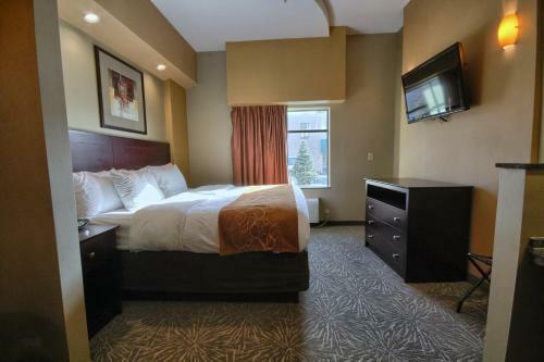 Hotel Comfort Suites Perrysburg