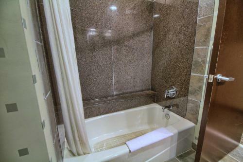 Hotel Comfort Suites Perrysburg