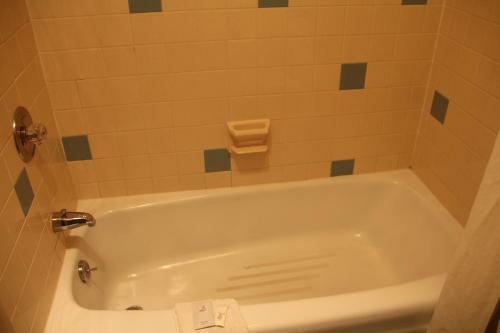 Motel Budget Inn- Troy