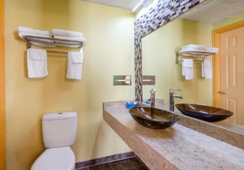 Motel Scottish Inns Harrisburg