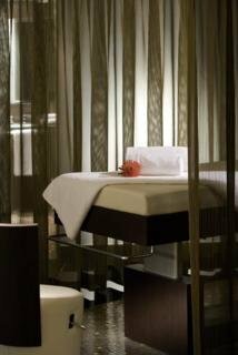 Hotel Sofitel Le Faubourg