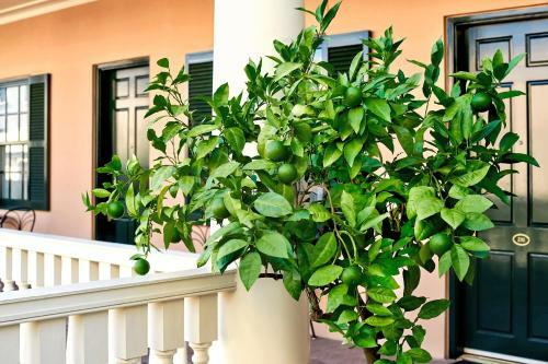 Posada Planters Inn - Charleston