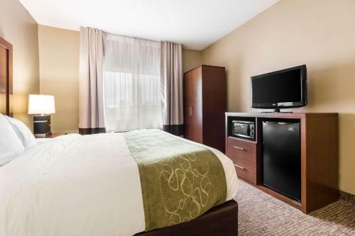 Hotel Comfort Suites - Sioux Falls