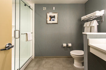 Holiday Inn Hotel & Suites Chattanooga
