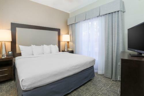 Hotel Homewood Suites By Hilton Southwind - Hacks Cross