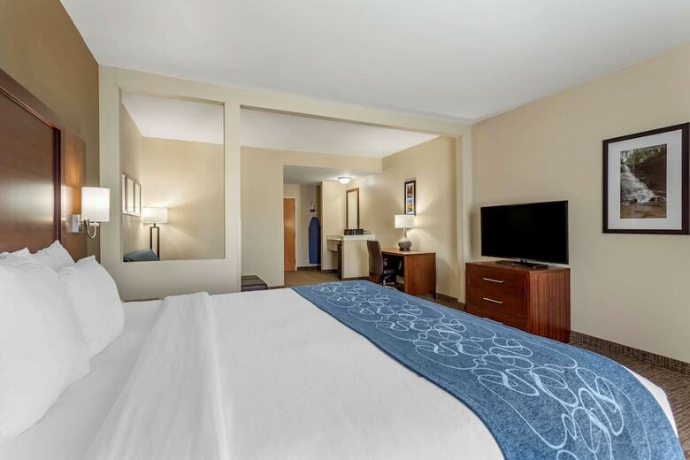 Hotel Comfort Suites At Rivergate Mall
