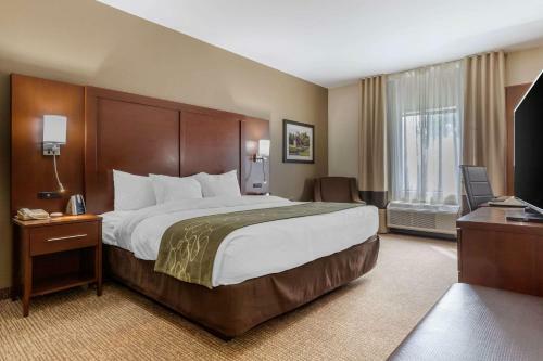 Hotel Comfort Suites Johnson City