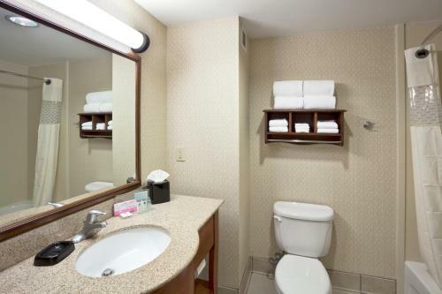 Hotel Hampton Inn & Suites Dallas-allen