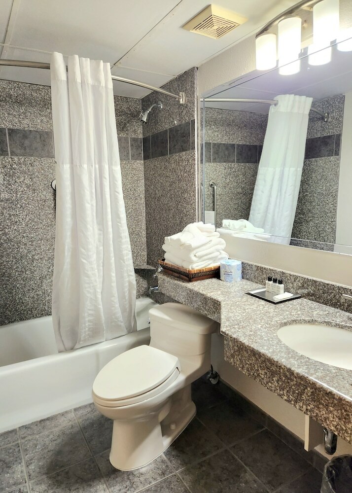 Wyndham Garden Hotel Austin