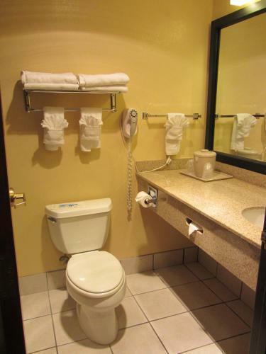 Hotel Comfort Inn And Suites Medical West