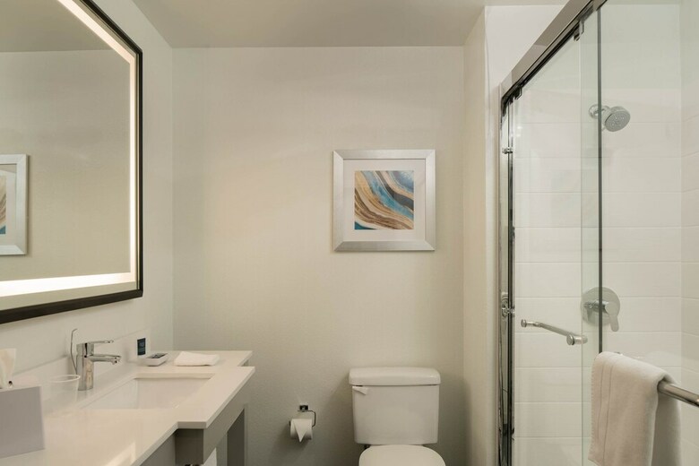 Holiday Inn Express Hotel & Suites Arlington/six Flags Area