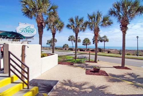Apartamento Ocean Forest 1108
