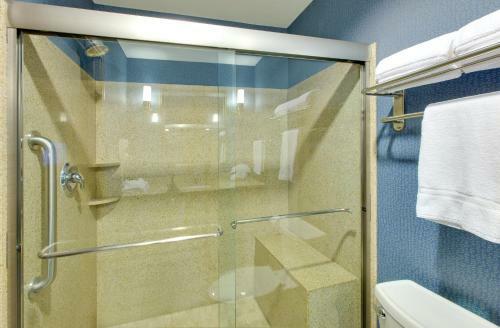 Hotel Holiday Inn Channelview
