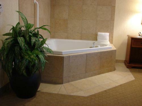 Hotel Hampton Inn & Suites College Station