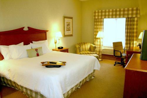 Hotel Hampton Inn & Suites College Station
