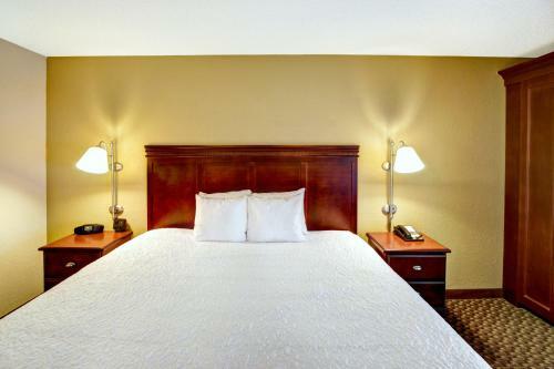 Hotel Hampton Inn College Station-near Texas A&m University