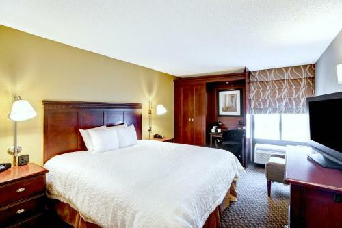Hotel Hampton Inn College Station-near Texas A&m University