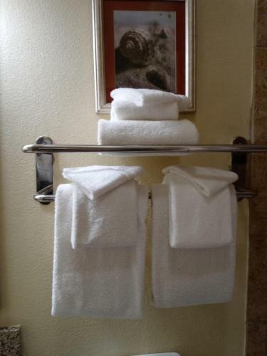 Hotel Hawthorn Suites By Wyndham Corpus Christi/padre Isle