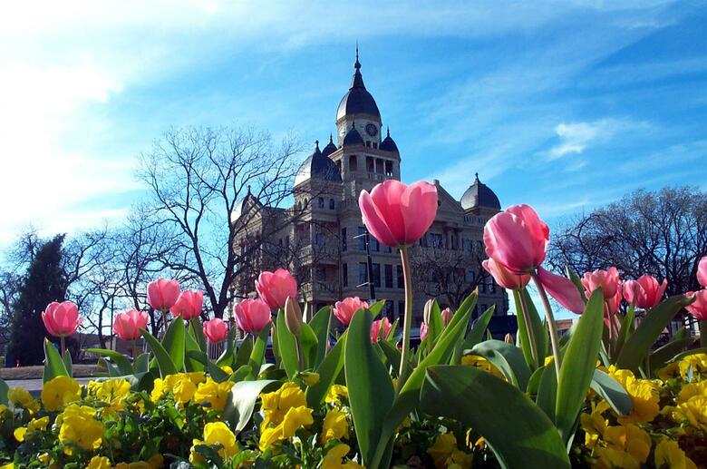 Hotel Best Western Plus Denton Inn & Suites