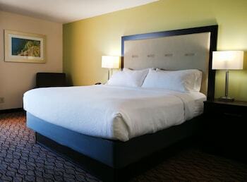 Hotel Holiday Inn Corpus Christi Downtown Marina