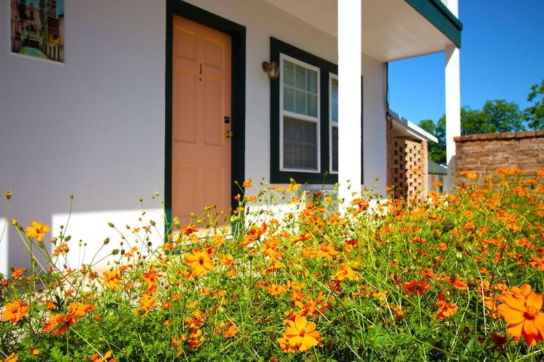 Hotel Peach Tree Inn & Suites